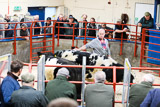 Longtown (8)